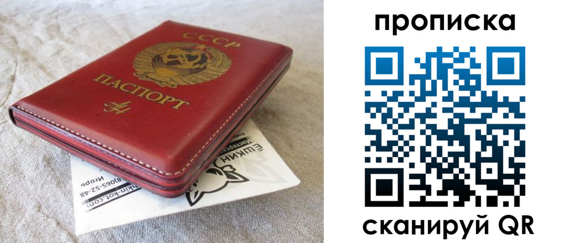 прописка для школы в Рузаевке